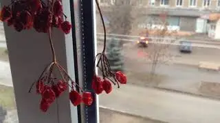 IMG 3522 Volgodonsk jan 2018