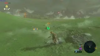 Zelda Botw