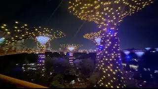 Singapore gardens by the bay