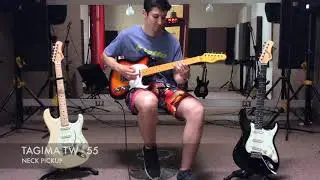 Nysa Arts - Tagima Guitars  (Juan José Gutiérrez)