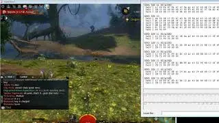 Guild Wars 2: invisible & immortal mode with GW2 Packet Engine Cheat 2021