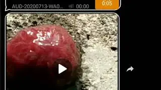 Кранер хи мал мух дяхь шу ц1ахь😳