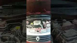 Заводится легко, работает ровно! Надёжный двигатель Рено 1.6 #love #catlover