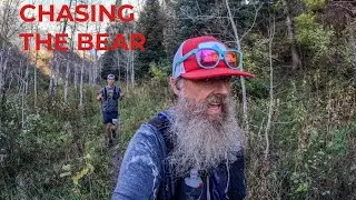 Chasing the Bear