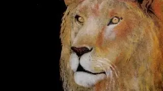 Drawing The Lion King With Salt