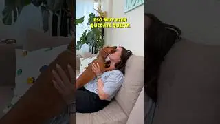Casi MUERDO a mamá!😂💖 #perrosalchicha #teckel #dachshund #humor
