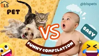 Cutest Babies VS Pets! Funny Babies | Funny Compilation