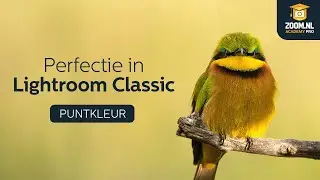 Tom Reuvers over de Puntkleur in Lightroom | Zoom.nl
