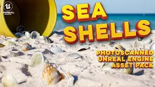 Sea Shells - Unreal Engine Photoscanned Asset pack