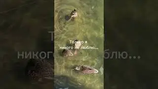 Какой же Казань все-таки прекрасный город…
