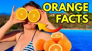 #7 FACTS ABOUT ORANGES! Straight from the ORANGE PLANTATION in Valencia, Spain.