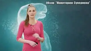 Заработок в интернете без вложений, заработок в 2022 году, владимир