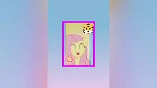 para concurso de foto de perfil para flutter cheimer ler a descrição