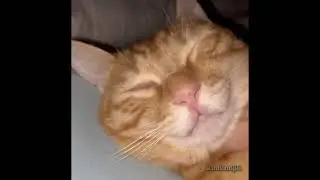 WAKE UP!!!