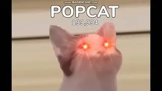 POPCAT(АЙМ ОЛВЭЙС КАМБЭК)2