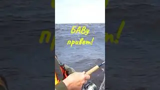 Лёгкий бриз 🌊😂 на Ладоге ⁠@JerkFan
