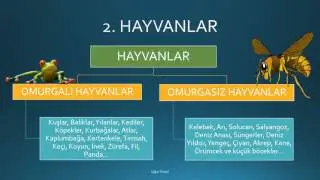 5. SINIF CANLILARI TANIYALIM KONU ANLATIMI