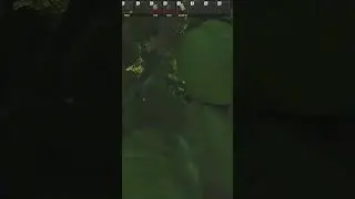 Average Tarkov Experience