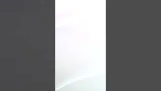 Pisica mea kiti