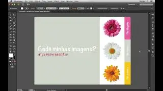 Minhas imagens sumiram