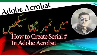How To Create # in Adobe Acrobat PDF