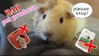 BAD pet products you SHOULD NOT buy