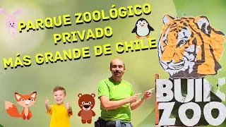 El Buin Zoo, lo que debes saber y nadie te cuenta.