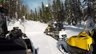 На снегоходах по таёжным тропам