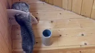 Слишком много экшена для одного видео