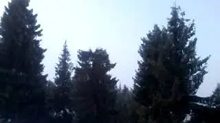 Калыба в Карпатах