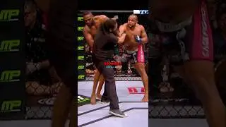 😱Herb Dean Reveals Why DC Punched Him👊