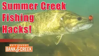 Five SIMPLE Hacks to CRUSH Summertime Creek Fishing! Bank & Creek