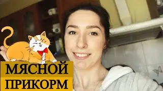 ЭТО ГЕНИАЛЬНО! МЯСНОЙ ПРИКОРМ РЕБЁНКУ | КАК ГОТОВИТЬ + Вариант Блюда