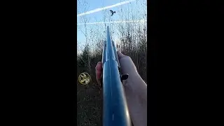Ruffed Grouse Shot!