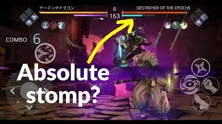 Level 6 Liberator VS DOTE | Shadow Fight 3