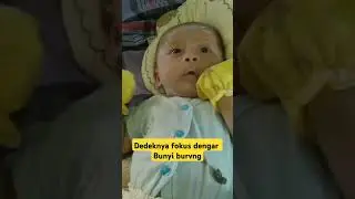 Bayi Lucu Lagi Fokus Dengar Bunyi Ayam #bayilucu #babyboy #cute