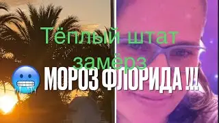 Я замёрзла .Зима во Флориде реалии