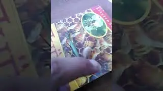 Богомол