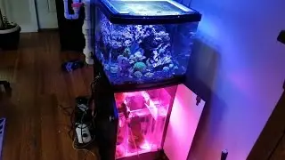 Biocube 29 Custom Sump (pt5)