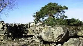 CARRIÈRES 2 (forêt des 3 pignons)