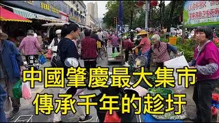 中國肇慶傳承千年的趁圩，最大集市人聲鼎沸2元就能買｜山貨藥材｜竹筍 ｜粽子｜玉桂｜雞鵝鴨｜兔子肉｜燒豬肉…還帶著清香飄逸 The largest rural market