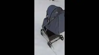 Коляска Danki Prime ( ПОЛНЫЙ ОБЗОР )
