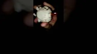 Как мы живём в России