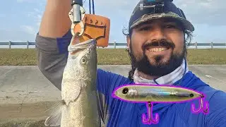 INSANE Topwater Trout Bite at Local Bridge Before Thunderstorm