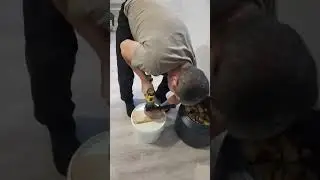 Дробилка для яблок
