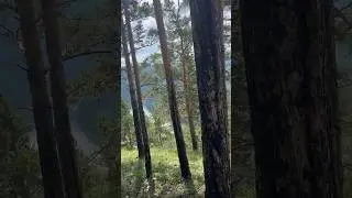 Манская петля 2
