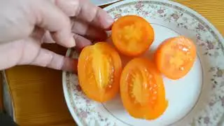 ТОМАТЫ НА СЕМЕНА САМЫЙ ПРОСТОЙ СПОСОБ СОБРАТЬ СЕМЕНА НА ХРАНЕНИЕ
