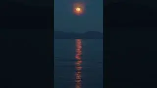 #Shorts Relax music and sounds with Moon to fall asleep ☘