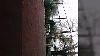 Тренировка #1 Футбол: