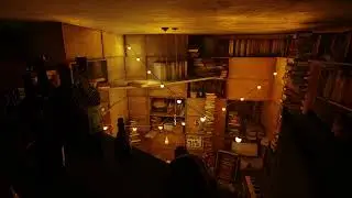 Stray ➤ 10 часов кот спит в библиотеке